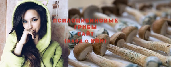 мяу мяу мука Михайловск