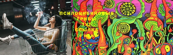 индика Яровое