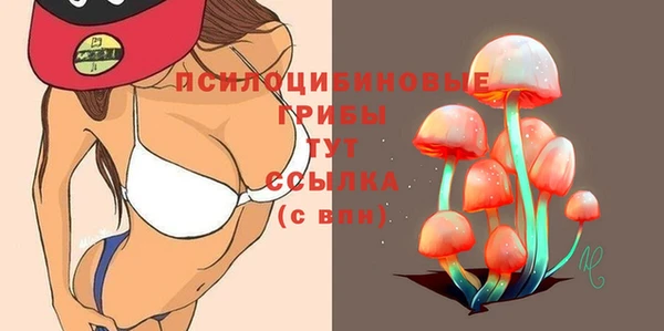 мяу мяу мука Михайловск