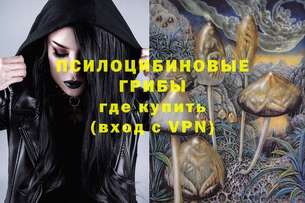 мяу мяу мука Михайловск