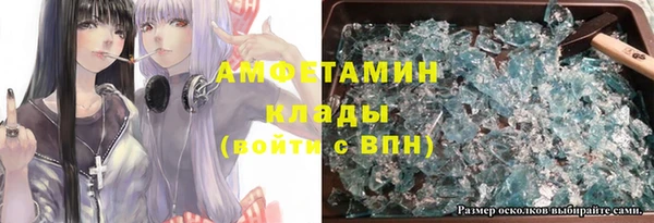 крисы Аша