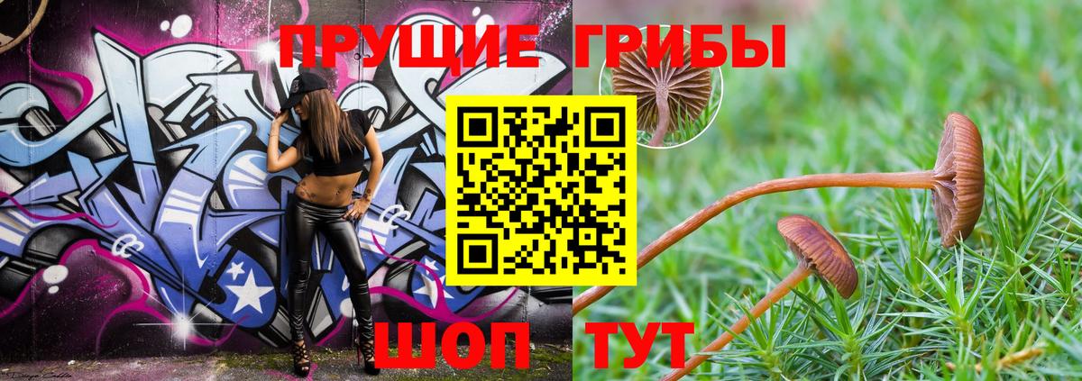 Ртищево  Псилоцибиновые грибы мицелий  Вход с VPN 